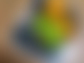 The “Freshman 15” at Saint Vincent: busting myths, not buttons