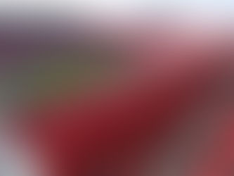 Steelers training camp still scheduled