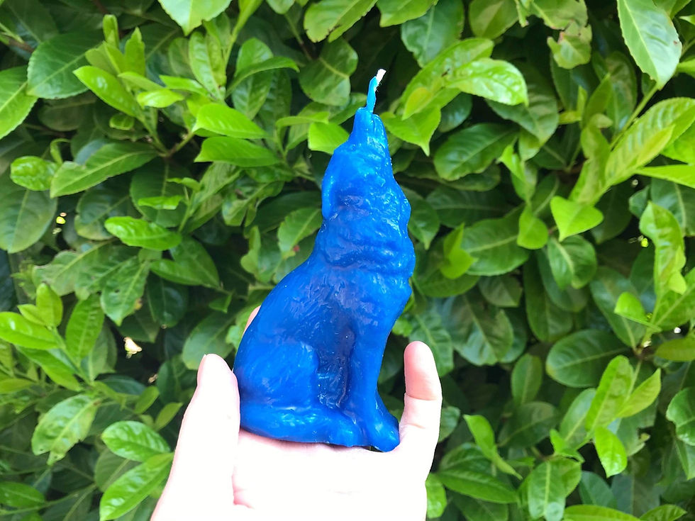 Thumbnail: Wolf Beeswax Candle