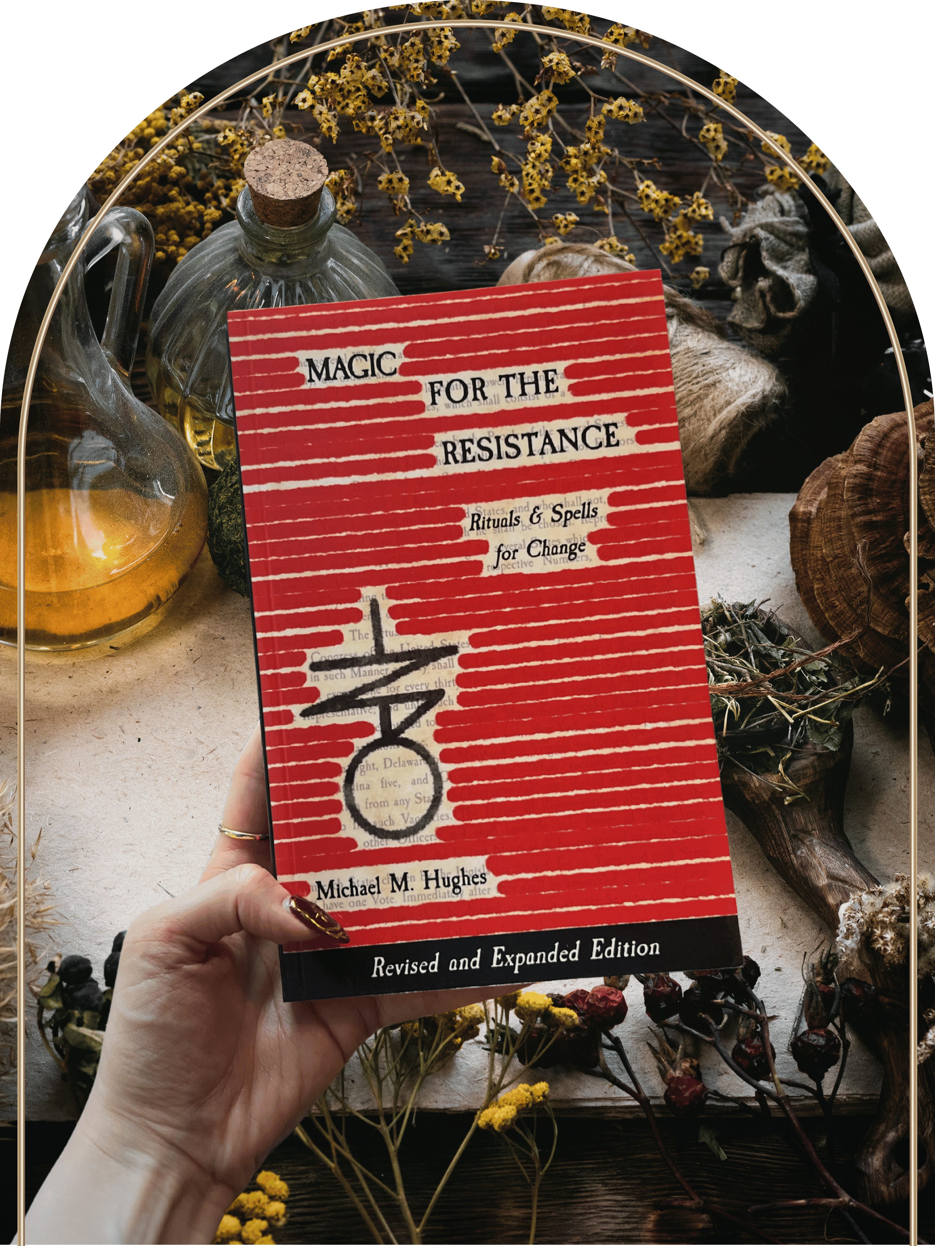 Magic for the Resistance by Michael M Hughes