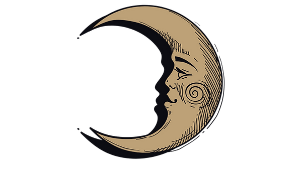 moon option 1_edited_edited_edited.png