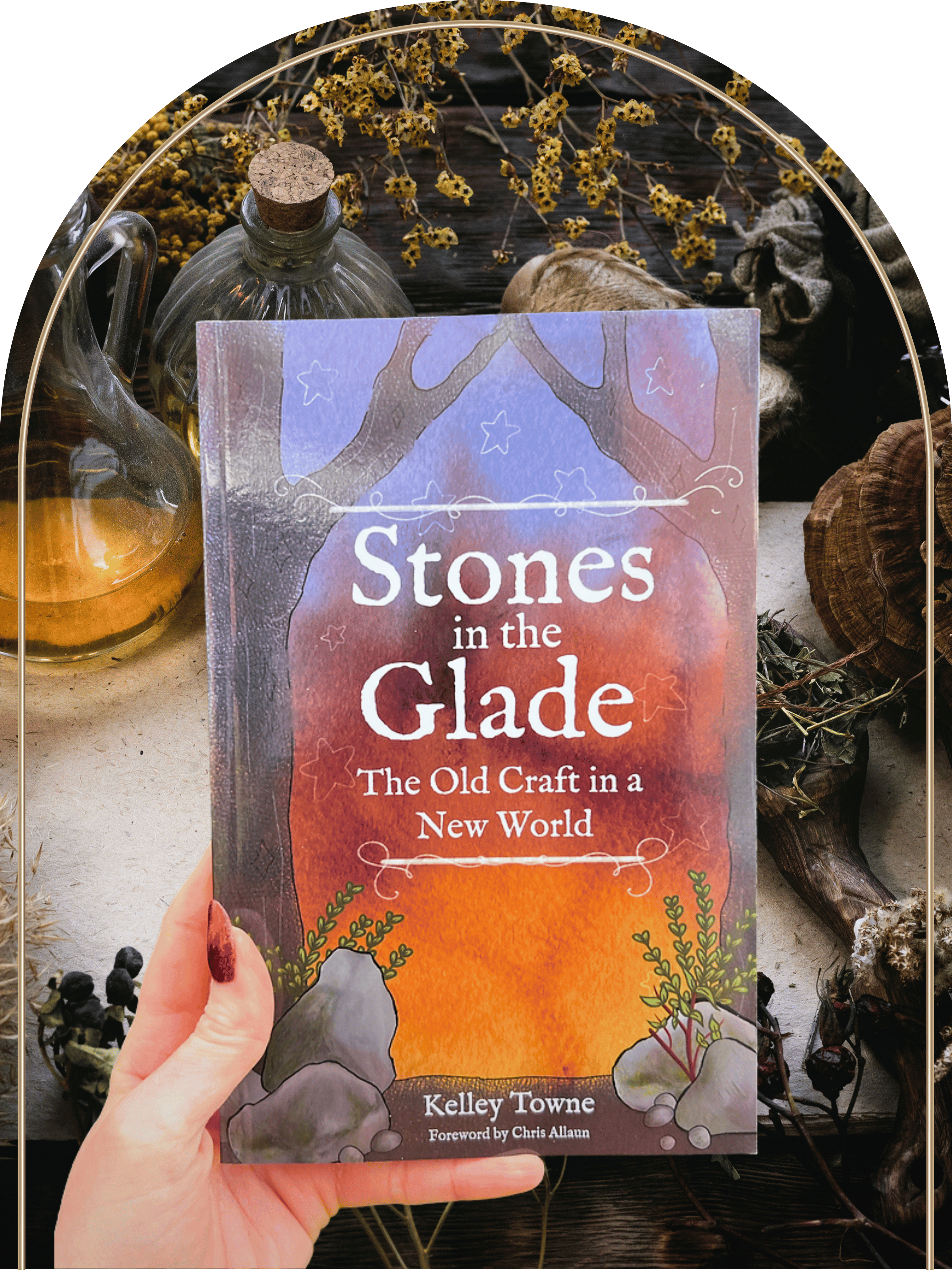 Stones in the Glade - Kelley Towne