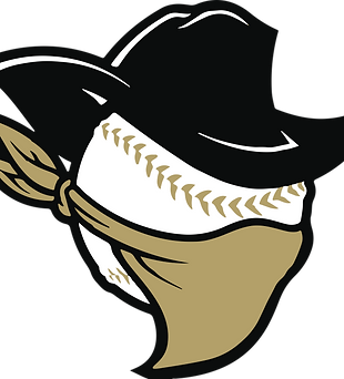 baseball vector.png