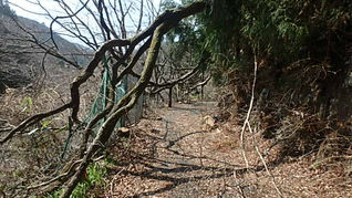 通行止めのお知らせ