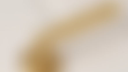 ลูกบิดประตูแบบก้านโยก