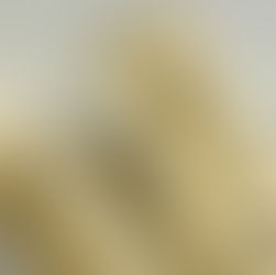 มือจับฝัง ยี่ห้อไหนดี 