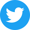 Twitter Icon