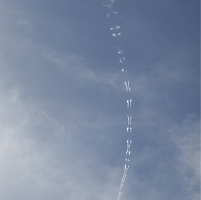 wolken met DN lijn.png