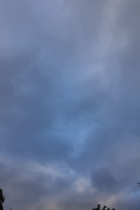 DSC05310.JPG