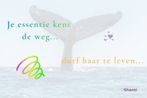 Terug naar de oceaan