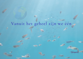 De vissen en het verre licht