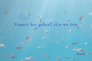 De vissen en het verre licht