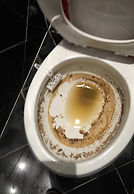 Sewage Cleanup