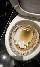 Toilet overflow Cleanup
