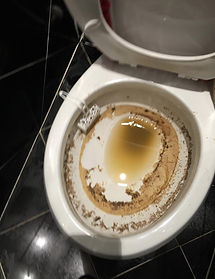 Sewage Damage Cleanup