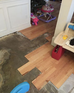 Flood damage Cleanup