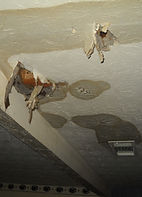 Ceiling Water Damage
