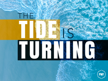 Fighting Big Tech: The Tide is Turning