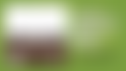 Understanding the Hidden Dangers of Ice Dams in Wyoming Winters and How to Prevent Them