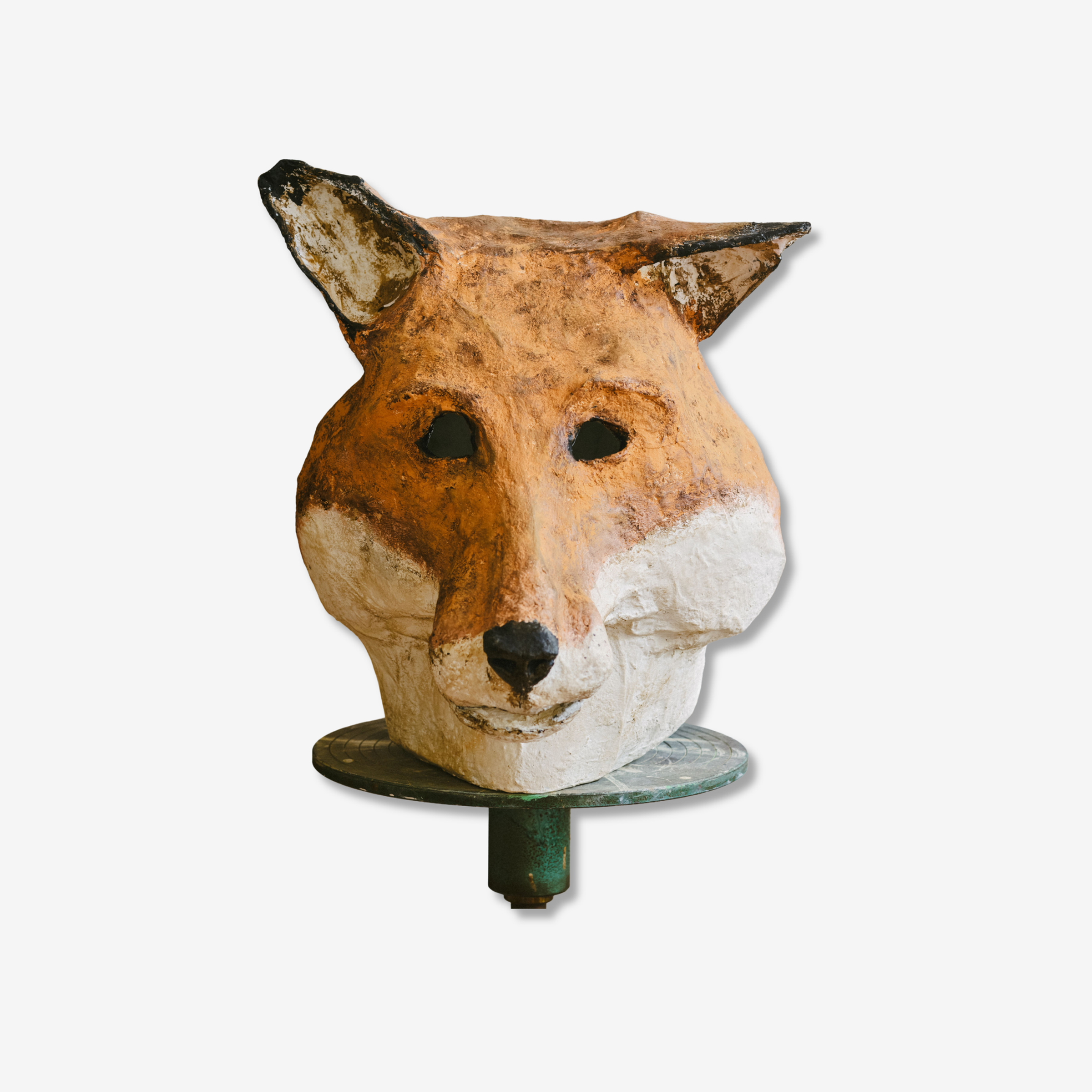 "Fox" - Valeria Consonetti