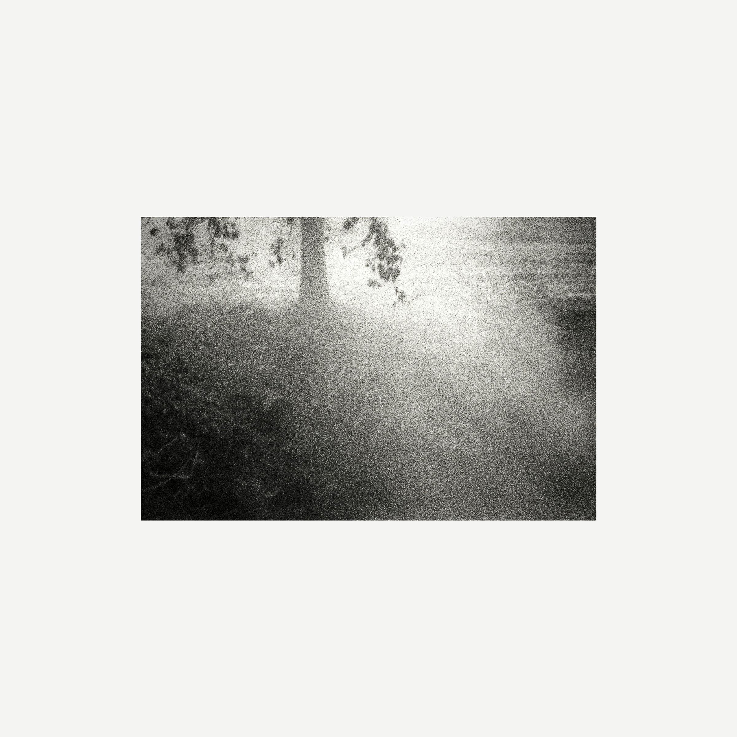 "Through the light" - Alfredo Schiavini