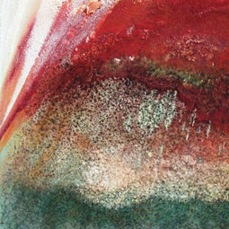 Dettaglio di texture rossa e verde, sfumature accattivanti