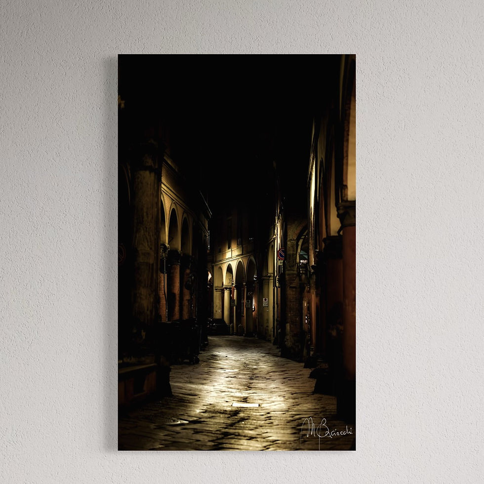 " Urban Woods" - Marco Baciocchi