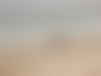 How to Find a Trustworthy Dog Walker Near Me