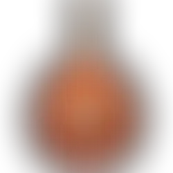 Remy Martin XO Cognac