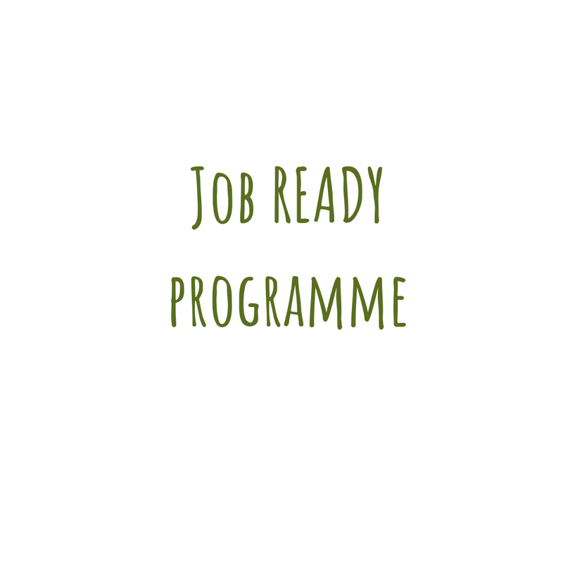 Job Ready Online Programme