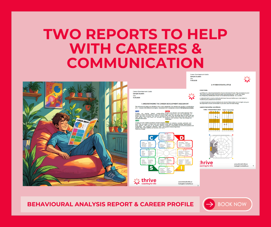 Thumbnail: Extended DISC Career Report and Recorded Generic Debrief - NO PERSONAL CONTACT