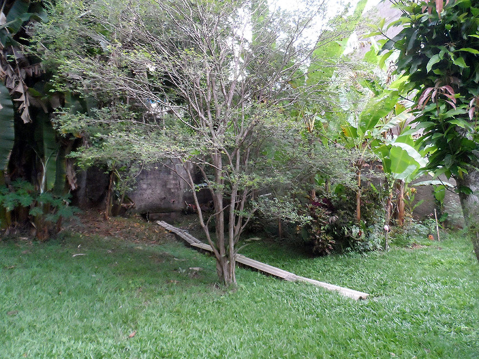 Muita Natureza