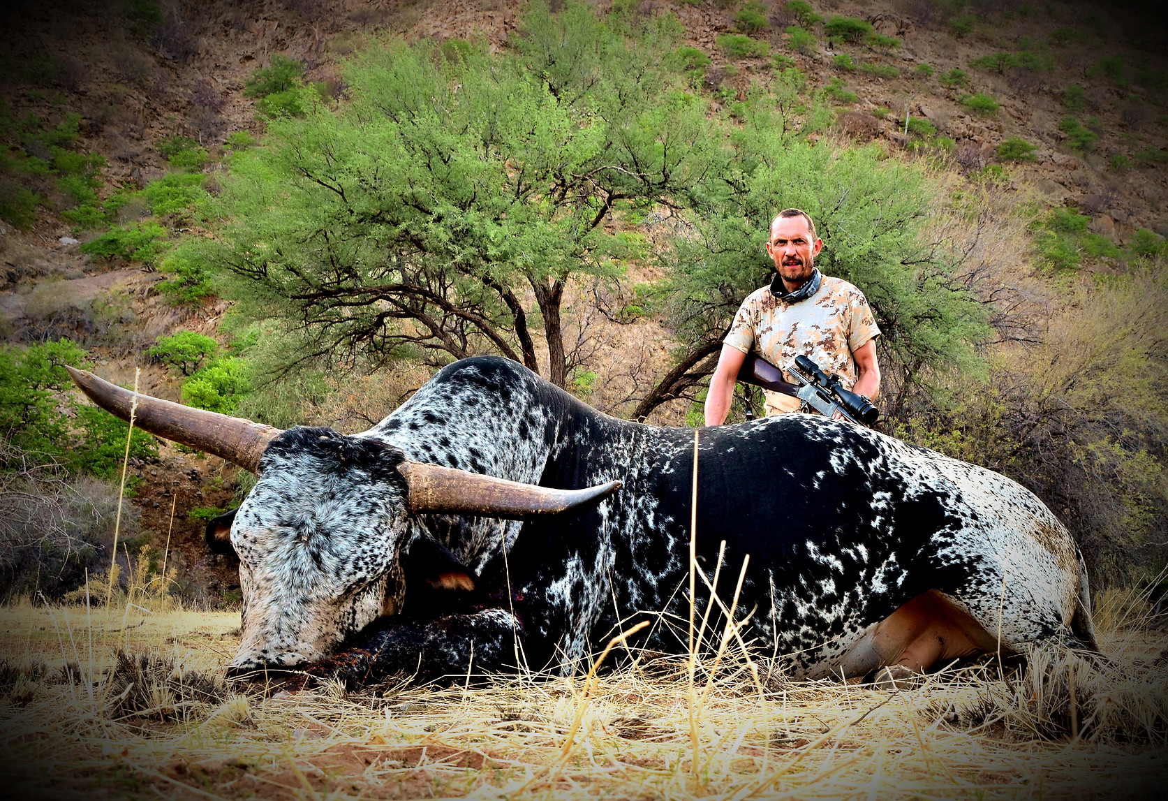 0000,ond,nguni,10 (15)_edited.jpg