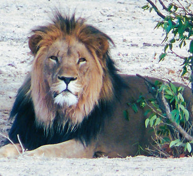 0000,ond,lio,hob,0710 (10).JPG