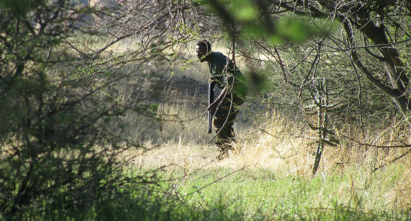 0612,ame,poa,20 (283).jpg