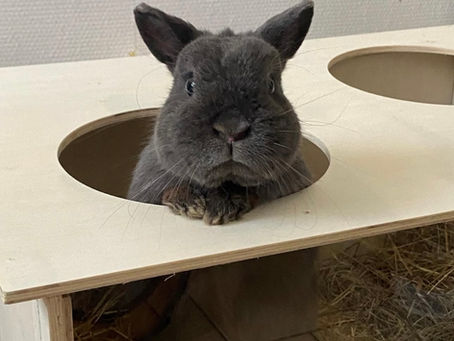 Thanos dans une boite de fouille