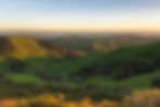 AdobeStock_527955219.jpeg