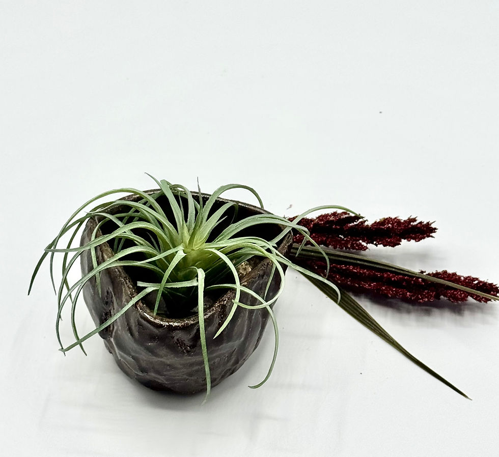 Thumbnail: Handmade Kurinuki Ceramic Bowl