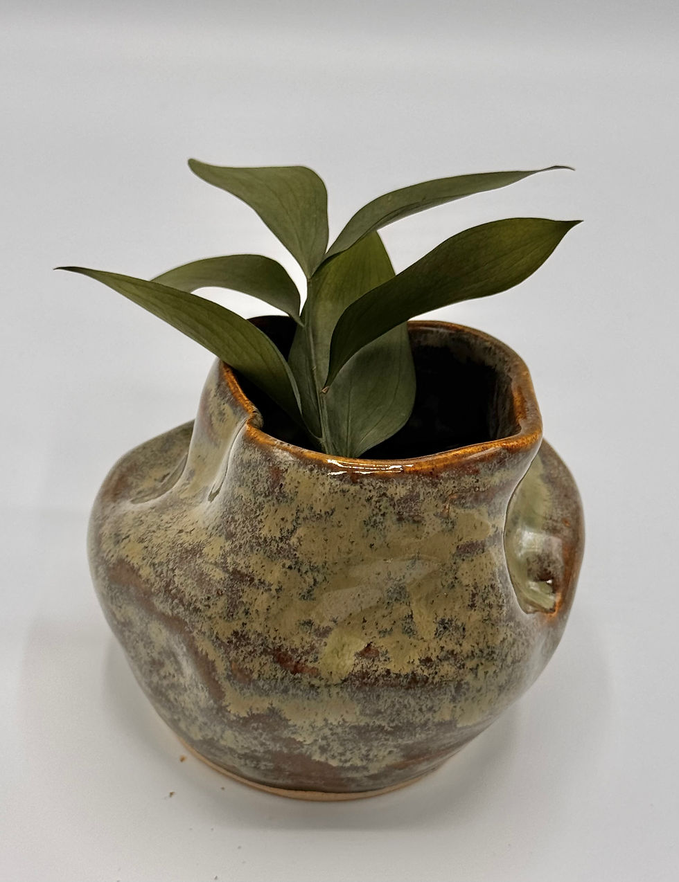 Thumbnail: Organic Earthwave Vase