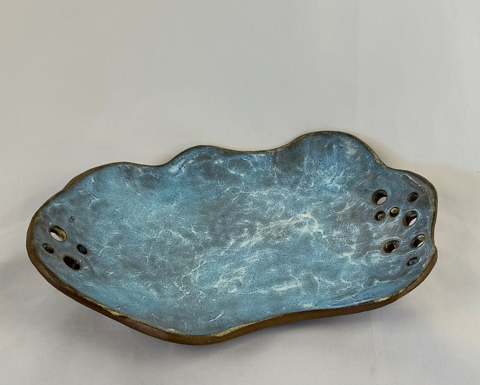 Thumbnail: TACI Medium Light Blue Tray