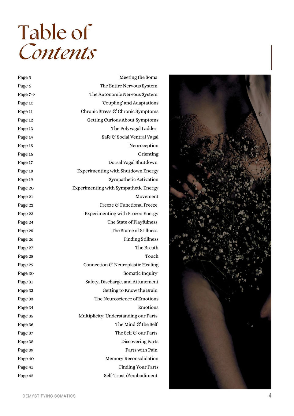 table of contents.jpg