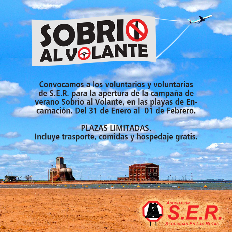 AFICHE VOLUNTARIOS 2015.png