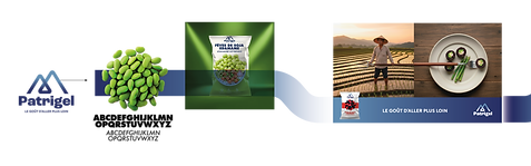 PATRIGEL BRANDING .png