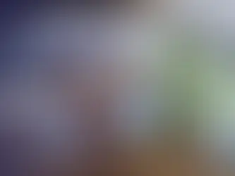 Flamecraft : de mignons dragons, de belles boutiques, et pas la moindre envie d'en découdre
