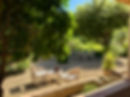 IMG_6381.jpeg