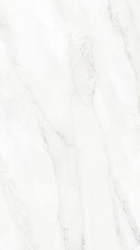 Large Format Cleveland White Veined Porcelain Tile 750x1500mm