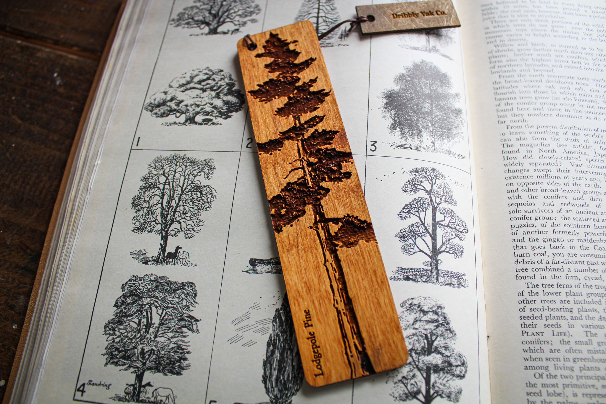 Lodgepole Bookmark