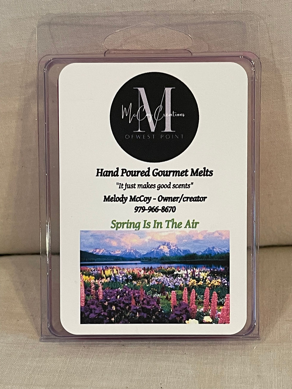 Thumbnail: Wax Melts 2