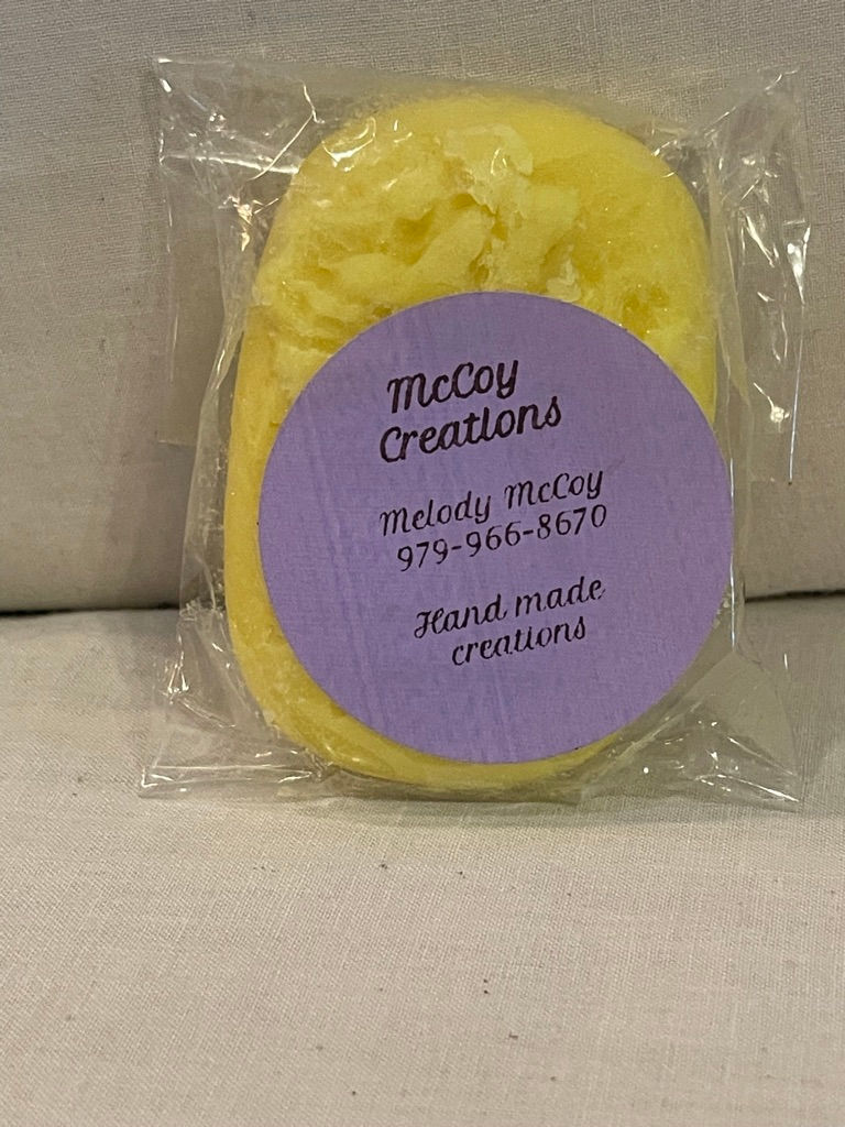 Fruit Slices Conditioner Bar