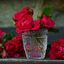 rose sherbet.jpg